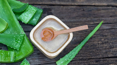 ماسك صبار الألوفيرا للشعر: لماذا يجب أن تجرب ماسك الشعر من نبتة الالوفيرا الرائعة