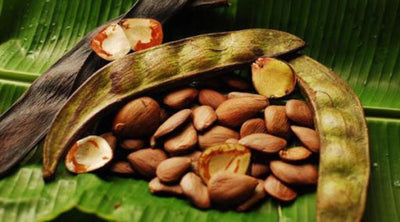 زيت براكاكسي للشعر: المكون السري لتصفيف الشعر الطبيعي