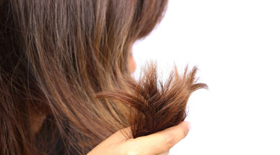 مشاكل الشعر الأكثر انتشاراً في الوطن العربي ودول الخليج وتأثيرها على صحة الشعر؟ وما السبب؟