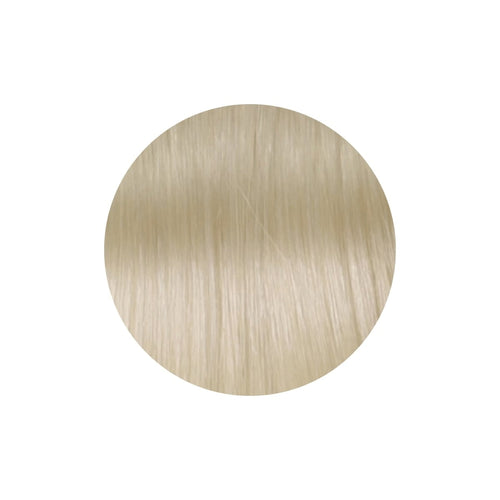 مقدمة الراس اشقر في الرياض